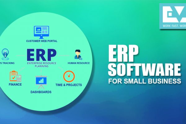 How does the ERP Software Benefit the Small Businesses?
