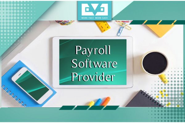 5 Small but Important things to Know about Payroll Software Provider