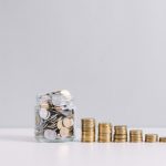 Which is The Main Function of HR Payroll Software?